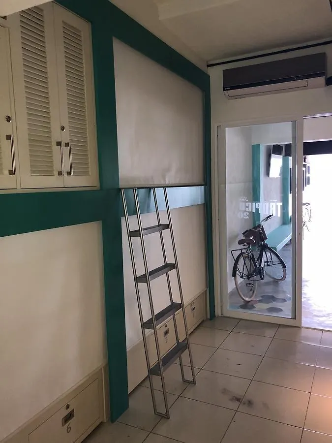 Hostel Frente Al Mar Tropico 20º Cozumel